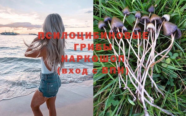 круглые Иннополис