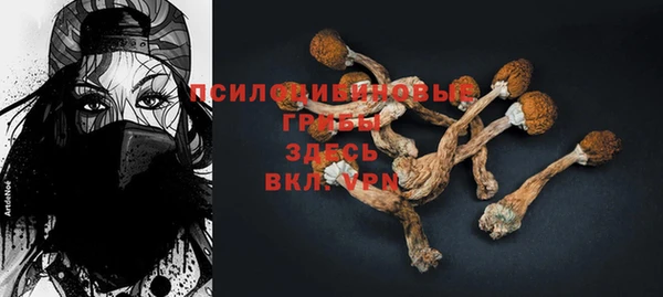 круглые Иннополис