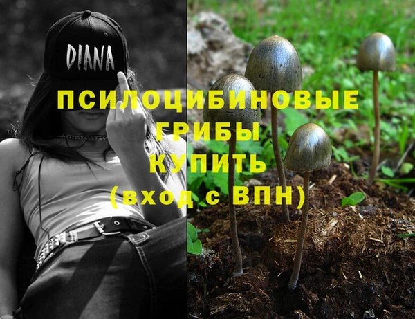 альфа пвп Инта