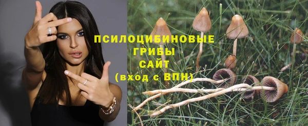круглые Иннополис