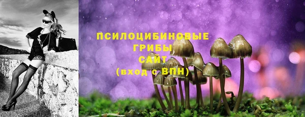 круглые Иннополис