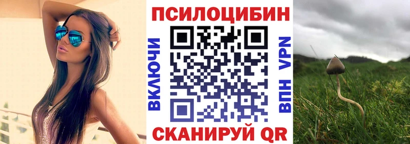 Купить где  Слюдянка  Галлюциногенные грибы ЛСД 